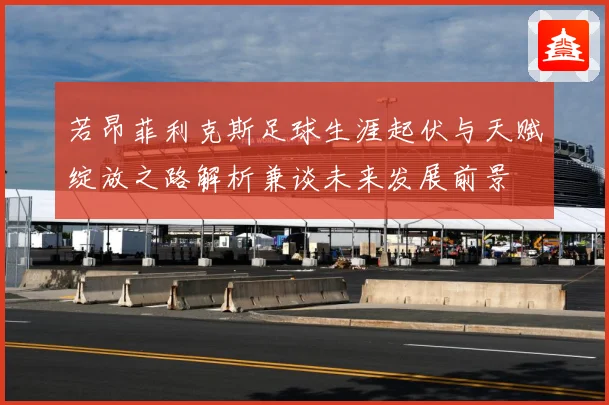 若昂菲利克斯足球生涯起伏与天赋绽放之路解析兼谈未来发展前景