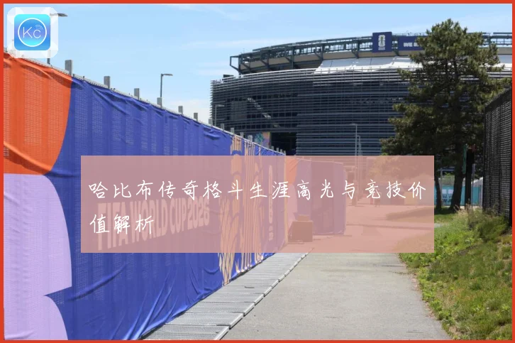 哈比布传奇格斗生涯高光与竞技价值解析