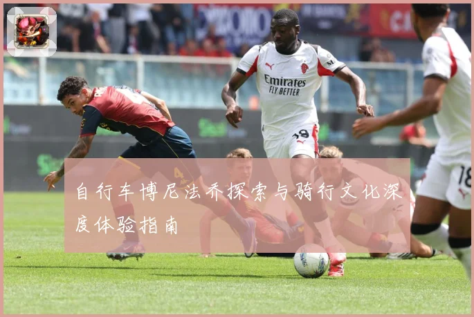 自行车博尼法乔探索与骑行文化深度体验指南