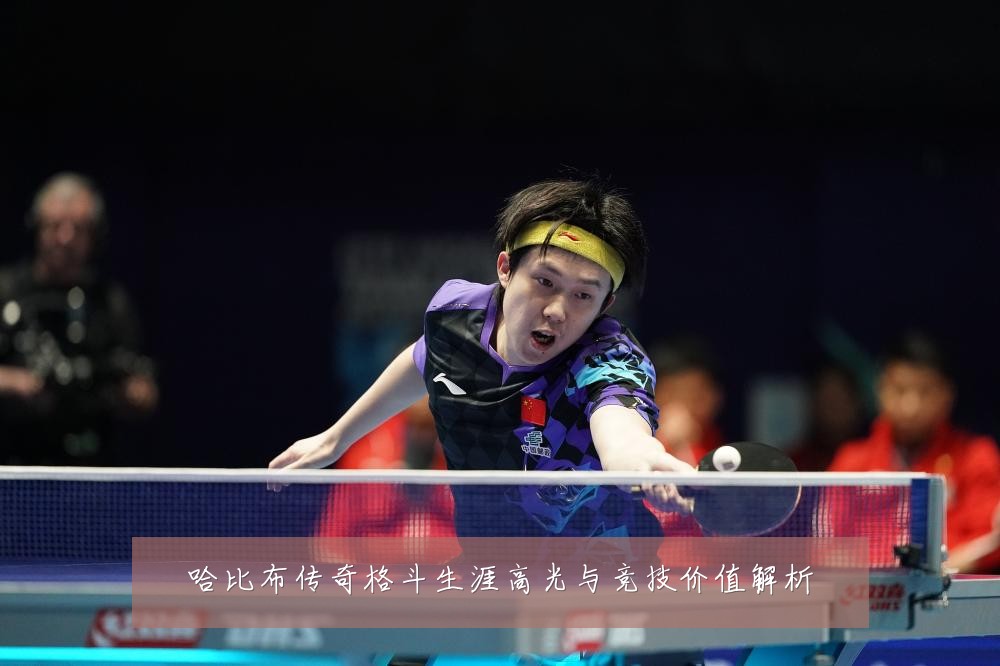 哈比布传奇格斗生涯高光与竞技价值解析